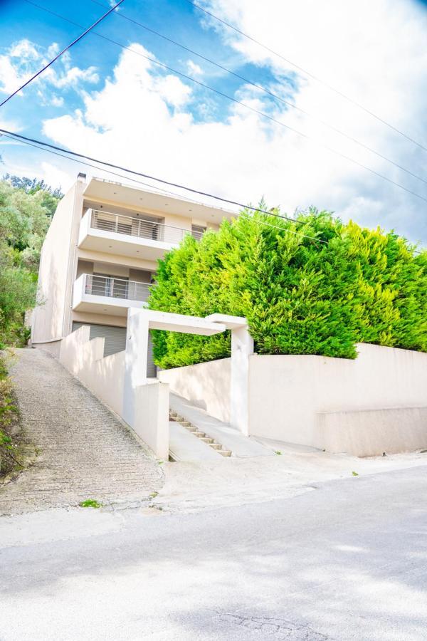 Panorama Apartment Apolpaina Zewnętrze zdjęcie